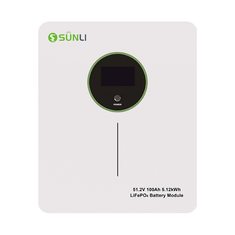 Wall Mounted 51.2V 100AH