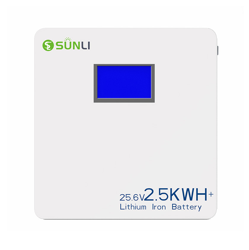 Wall Mounted 25.6V 100AH